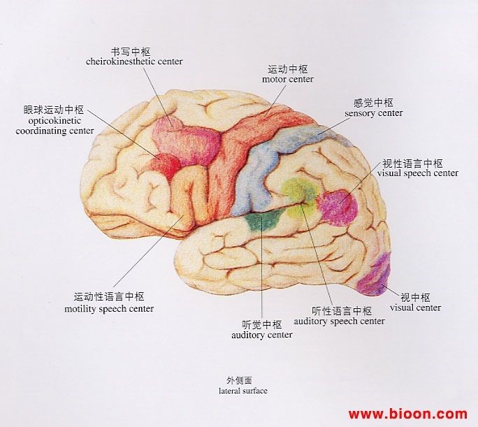 醫用一次性灌腸器